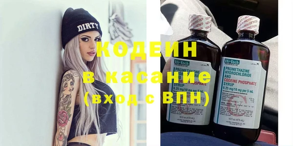 индика Балабаново