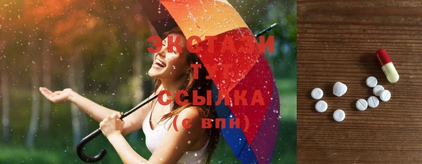 индика Балабаново