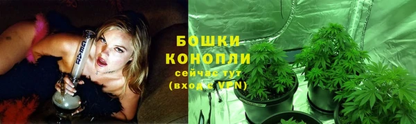 молекула духа Баксан