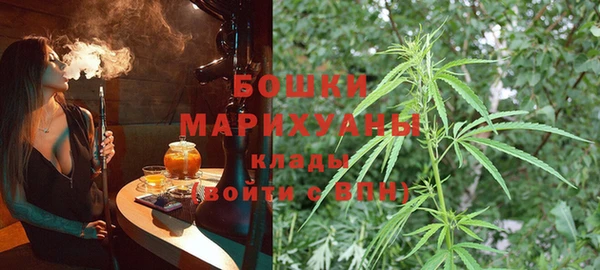 индика Балабаново