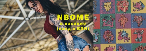 индика Балабаново