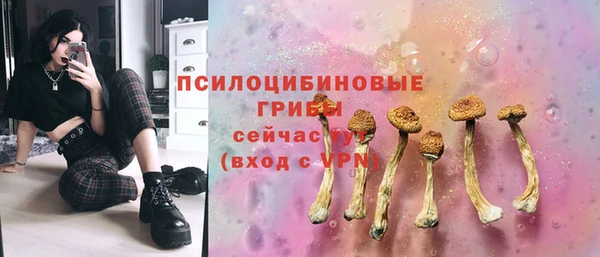 индика Балабаново