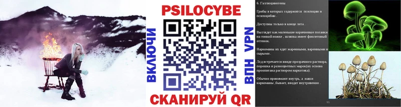 купить наркотик  Лахденпохья  Псилоцибиновые грибы ЛСД 