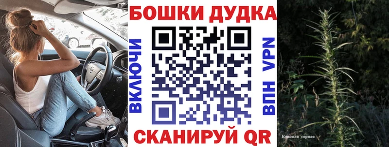 купить   Лахденпохья  Канабис OG Kush 
